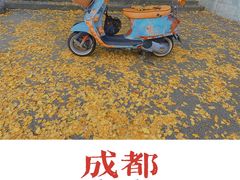 -成都市活水公园
