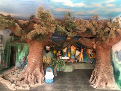 -东方巨龟苑景区