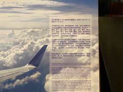 -法兰度航空主题餐厅(河源店)