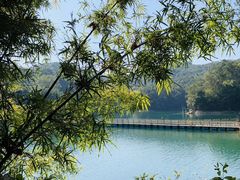 -广州市流溪河国家森林公园