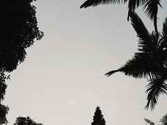 -晓港公园