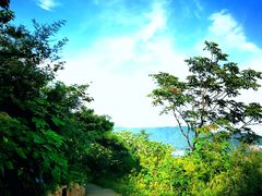 -北京西山国家森林公园