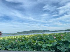 -杭州西湖仁和饭店(湖滨银泰in77店)