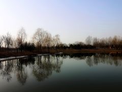 -东郊湿地公园