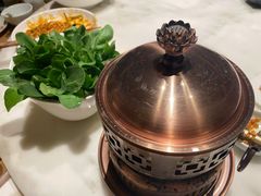 水煮鸡毛菜-初蓉丨遇见新川菜(亲贤街荣耀店)