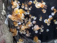 -威海华夏城景区