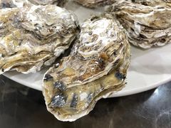 -蚝专家(北滘店)