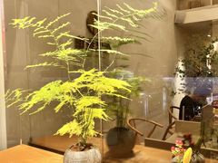 -左悦·艾灸调理·推拿按摩·精油SPA(卓悦汇店)