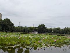 -堤角公园