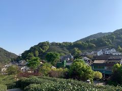 -龙井村