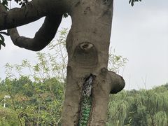 -白塘生态植物园
