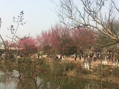 -武汉紫薇都市田园