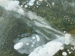 -白河湾生态旅游一条川