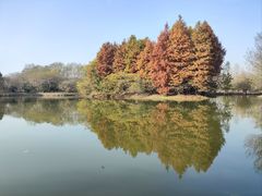 -梁鸿国家湿地公园