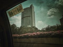 -珠江夜游省总码头