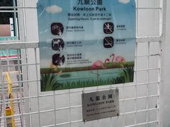 -九龙公园