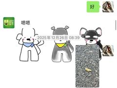 -艾吉宠物医院·疑难杂症转诊中心·猫友好(碧江路院)