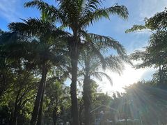 -深圳龙潭公园