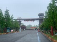 -泗洪洪泽湖湿地景区
