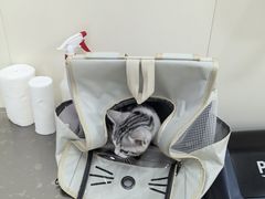 -美联众合动物医院·24h京西诊疗中心
