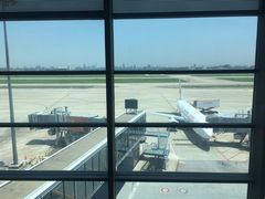 -虹桥机场国航贵宾室v8