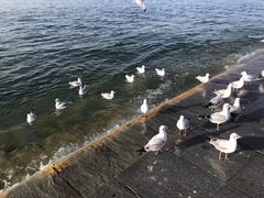 -青海湖二郎剑景区
