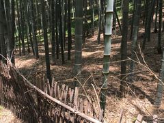 -宁波浙东大竹海景区