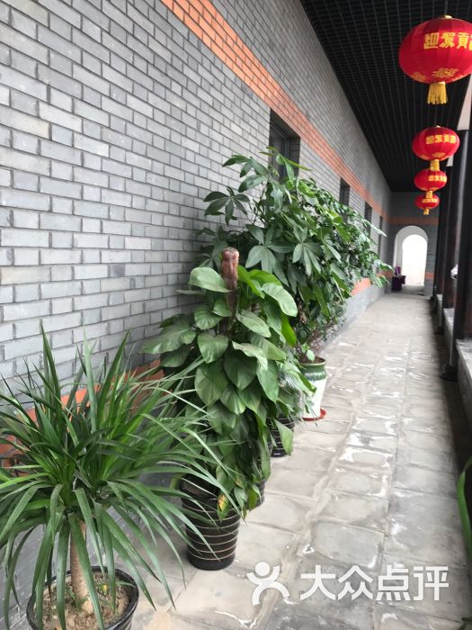 垂珠园农庄(长兴岛店)图片 - 第4张