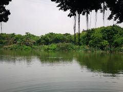 -小洲村