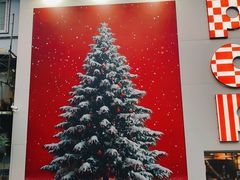 -溪岸路花鸟市场