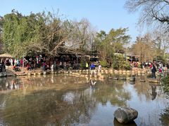 -黄龙溪古镇
