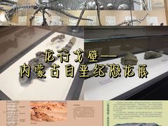 -UCCA Kids 儿童美育