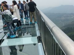 -梦幻奥陶纪景区