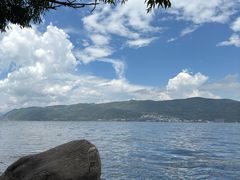 -才村湿地公园