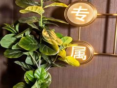 -索拉古贝(义乌北苑店)