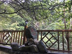 -黄山温泉国际旅游度假区