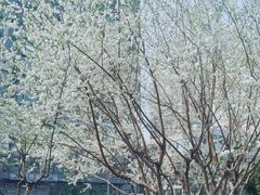 -金宫殿故址