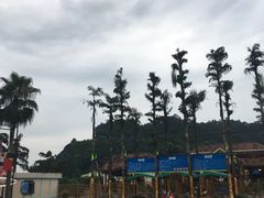 -重庆海昌加勒比海水世界