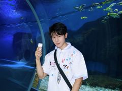 -海合安武汉极地海洋公园