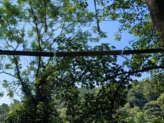 -芦仙山景区-飞越丛林探险乐园