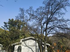 -WeLope紫金山探险公园