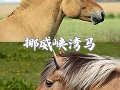 -多维国际马术俱乐部(118广场店)