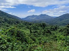 -海南霸王岭国家森林公园