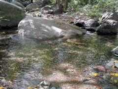 -云岫谷游猎自然风景区