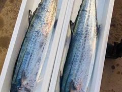 -青岛沙子口国家中心渔港