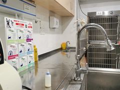 -瑞派名望24h动物医院异宠专科·猫专科·骨科·重症监护分院