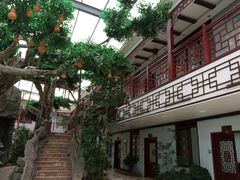 -老山东·山东菜(鲁菜名店)