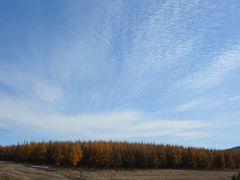 -塞罕坝国家级自然保护区