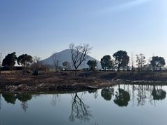 -田园东方蜜桃村的田野营地