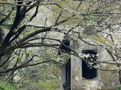 -惠山古镇·寄畅园